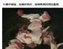 干锅千叶豆腐的做法图解3