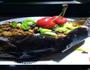 肉末茄子船的做法图解1