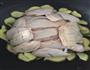 葱油鸡的做法图解4