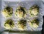 马苏里拉芝士油菜土豆泥的做法图解6