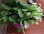 青菜炒牛肉的做法图解1