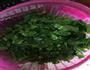 青菜炒牛肉的做法图解2