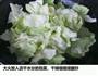 醋溜包菜的做法图解2