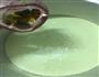 百香果酸奶慕斯的做法图解12