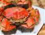清蒸大闸蟹的做法图解4