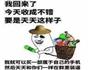 尖椒鸡丁的做法图解2