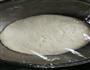 梅菜肉沫馅饼的做法图解3