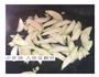 丝瓜甜虾汤的做法图解2