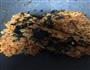 韩国泡菜炒饭的做法图解9