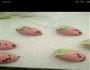 花馍的做法图解5