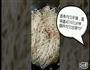 豆角，芹菜焖面的做法图解4