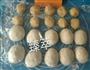 奥尔良烧饼-烤箱版的做法图解5