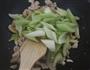 芹菜炒鸡胸肉的做法图解5