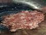鸡蛋蒸肉饼的做法图解1