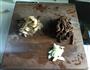 排毒养颜不怕苦双菌炒苦瓜的做法图解3