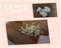 萝卜下饭菜的做法图解2