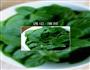 薄荷-蜜的做法图解5