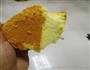 新手初级烘焙老式鸡蛋糕的做法图解23