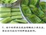 清爽低脂过夏，黄瓜配鸡肉，天仙配的做法图解7