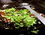 家常小炒→手撕牛肉丝的做法图解8