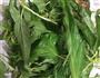 凉拌鸡毛菜的做法图解2