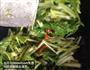 墨鱼炒芹菜的做法图解7