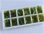 香草油的做法图解4