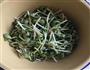 肉炒青豆芽的做法图解2