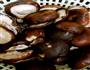 香菇烧肉的做法图解3