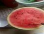 西瓜冰的做法图解4