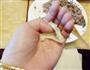 青菜香菇馄饨的做法图解7