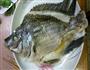 清蒸罗非鱼的做法步骤2