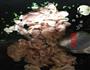 菱角炒鸡肉的做法图解4