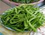清炒南瓜苗的做法图解2