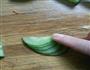 金鱼版的做法图解6