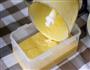 意大利芒果冰淇淋雪糕的做法图解10