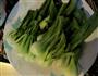 香菇青菜的做法步骤1