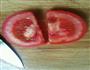 西红柿情侣天鹅的做法图解7