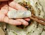 什锦白萝卜虾卷的做法图解9