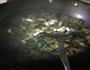 青椒烧茄子的做法图解8