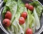大地田园沙拉的做法图解1
