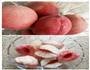 桃罐头的做法图解1