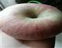 熟苹果的做法图解1