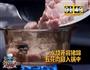 姜味红糖红烧肉的做法图解1