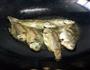 葱烤野生河鲫鱼＋酸辣家常菜的做法图解1