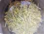 素炒豆芽的做法图解2