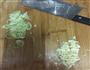 白灼金针菇的做法图解2