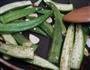 古朴烹饪法烤秋葵的做法图解4