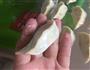 白菜/芹菜猪肉馅水饺的做法图解9