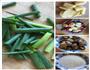 红烧肉炖土豆的做法图解2